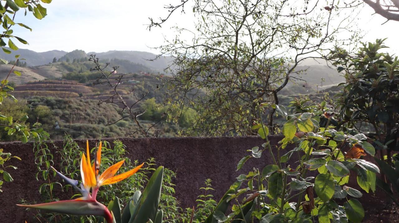 Casa Rural En San Mateo Las Palmas de Gran Canaria Eksteriør billede