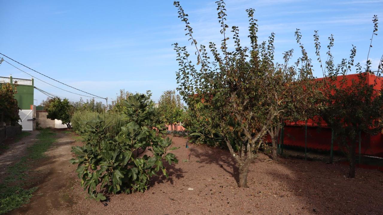 Casa Rural En San Mateo Las Palmas de Gran Canaria Eksteriør billede