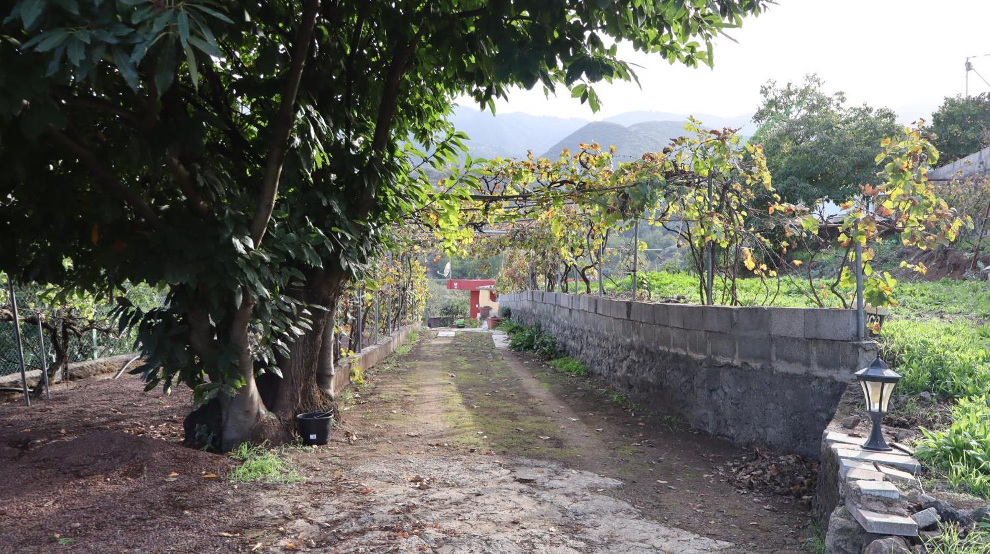 Casa Rural En San Mateo Las Palmas de Gran Canaria Eksteriør billede